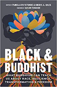Black and Buddhist: What Buddhism can Teach Us About Race, Resilience, Transformation & Freedom