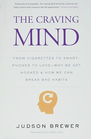 The Craving Mind: From Cigarettes to Smartphones to Love – Why We Get Hooked and How We Can Break Bad Habits