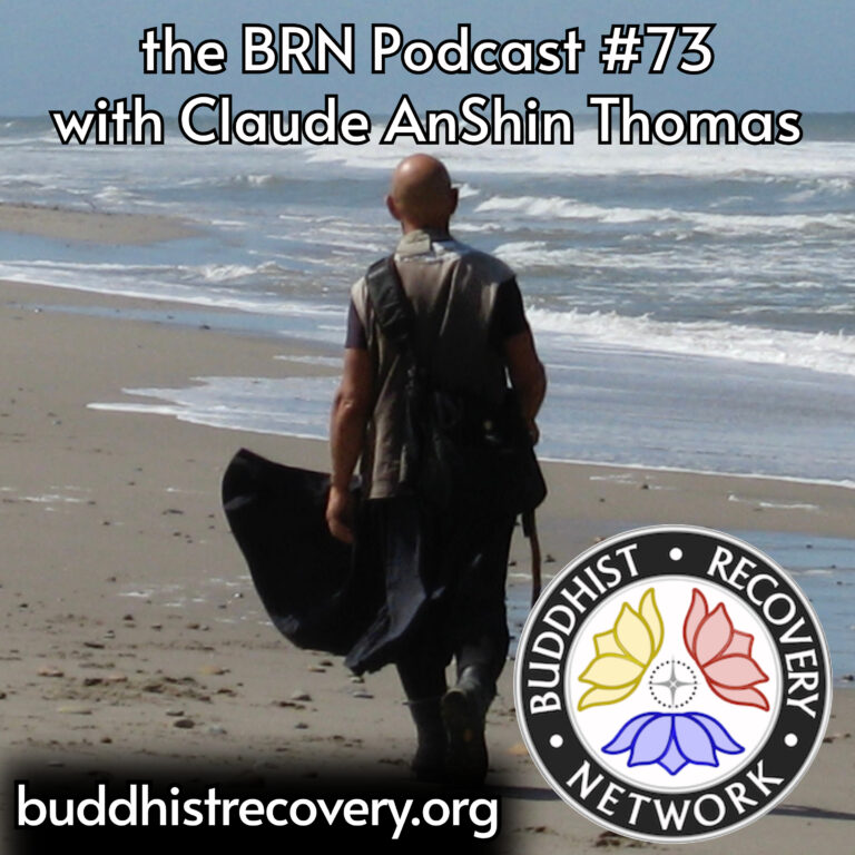 From War to Wisdom: A Journey of Sobriety and Spirituality. Claude AnShin Thomas on Recovery